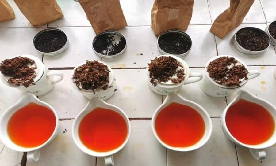 定制拼配茶底(全案开发)